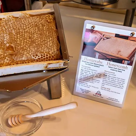 Drostenhof Garni 호텔 3*